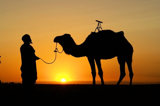 Excursion marrakech pas cher